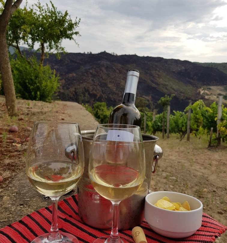 Quinta Monte Sao Sebastiao主图