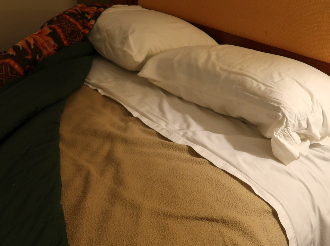 桃子树旅馆主图