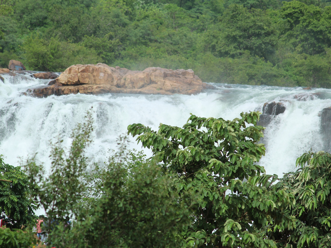 Bogatha Waterfall景点图片