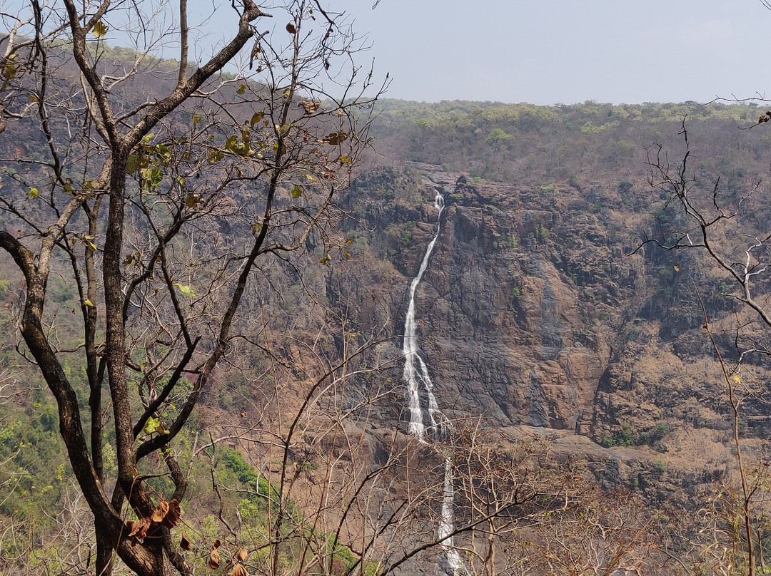 Similipal National Park景点图片