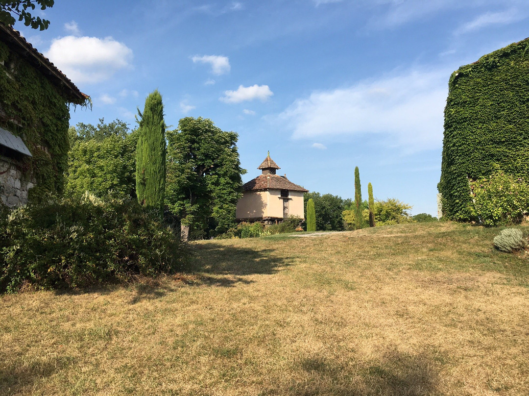 Chateau de Mayragues主图