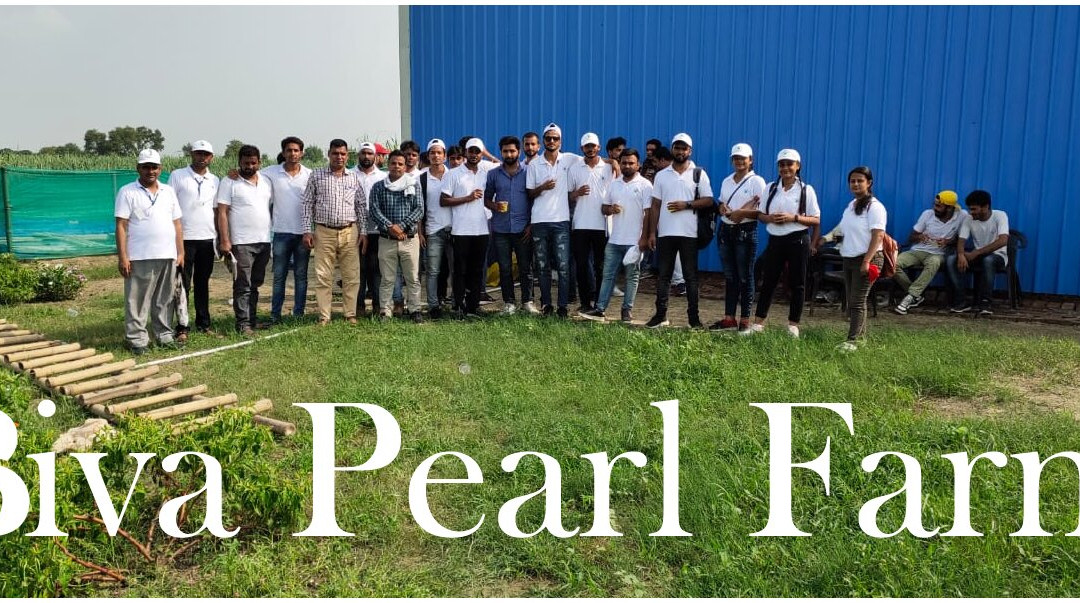 Biva Pearl Farm India景点图片