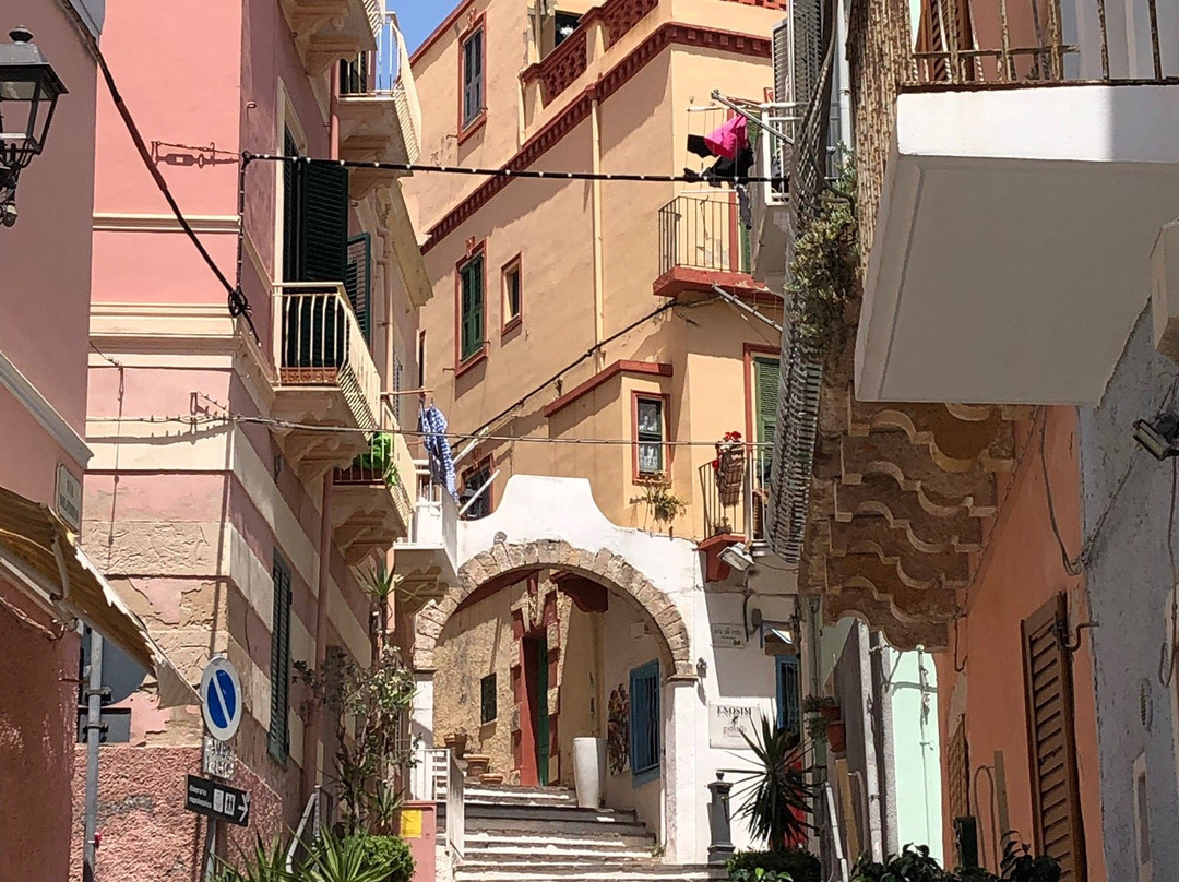 Chiesa San Carlo Borromeo-Carloforte必去景点