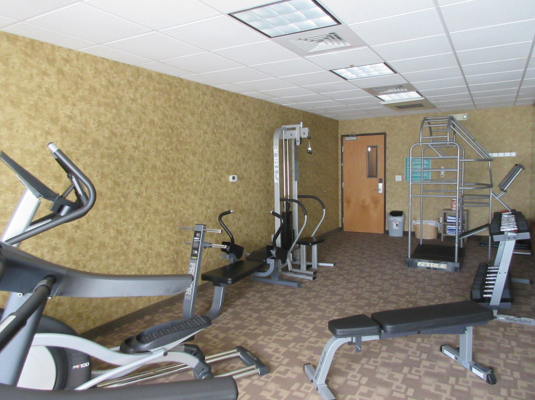 Hawthorn Suites By Wyndham主图