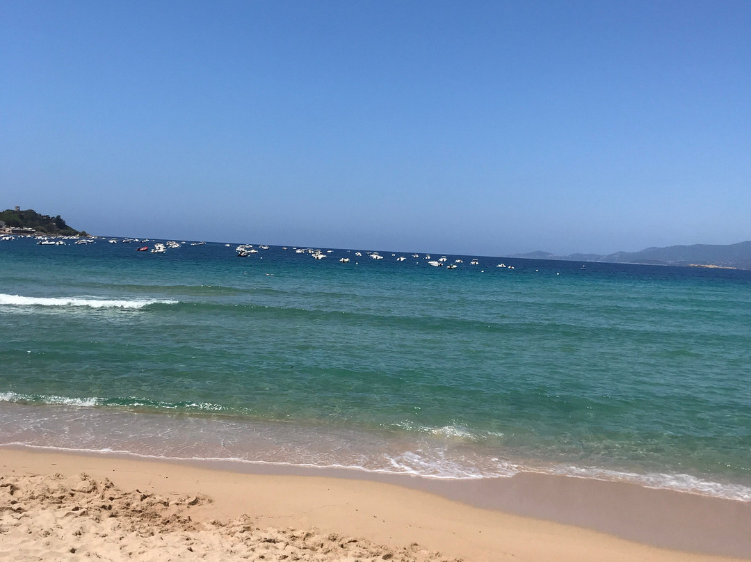 Camping La Liscia主图