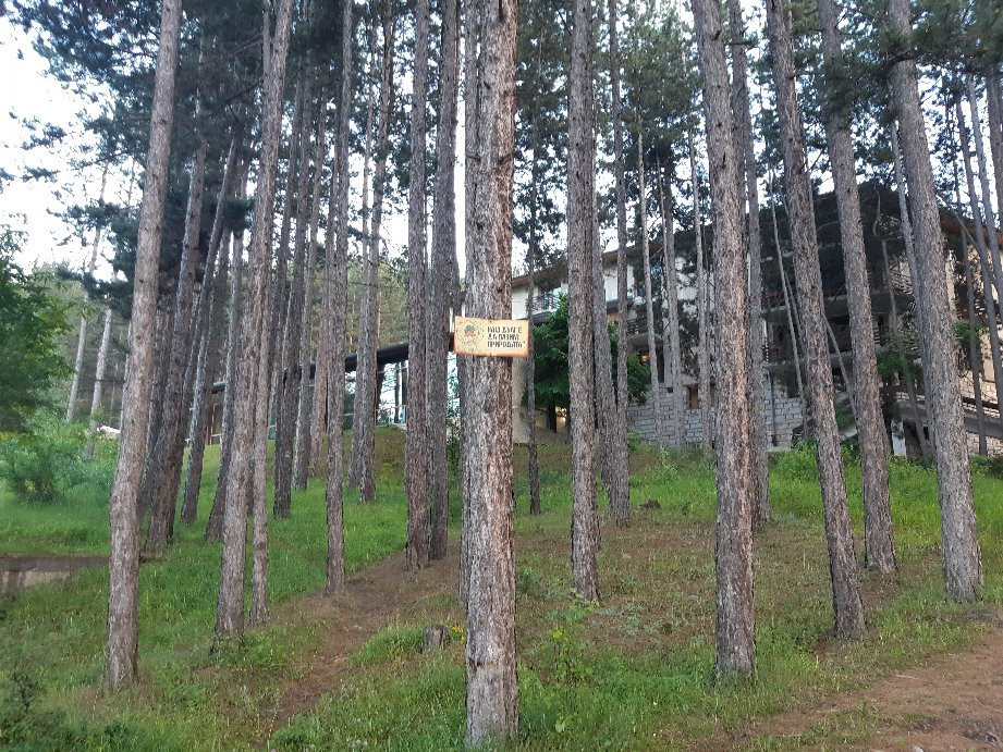 威利纳温泉酒店主图