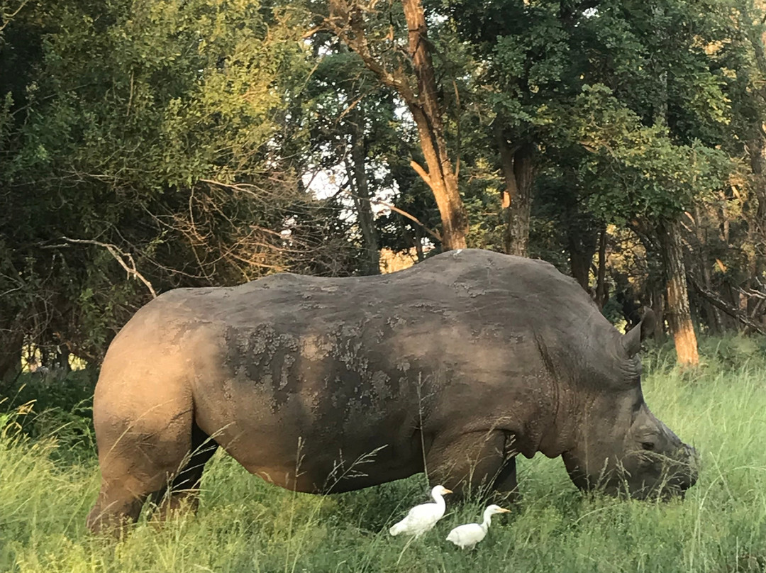Rietvlei Nature Reserve-比勒陀利亚必去景点