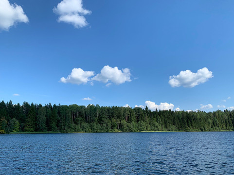 Roshchino旅游攻略图片