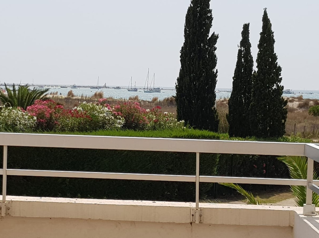 Hôtel Thalazur Port Camargue主图