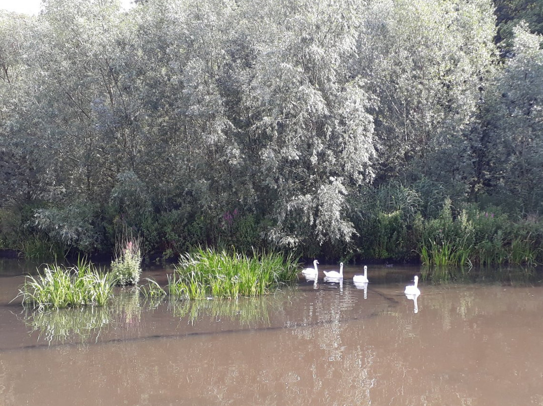 Worsley woods景点图片