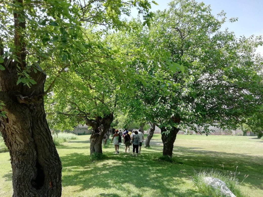 Isola del Lazzaretto Nuovo景点图片