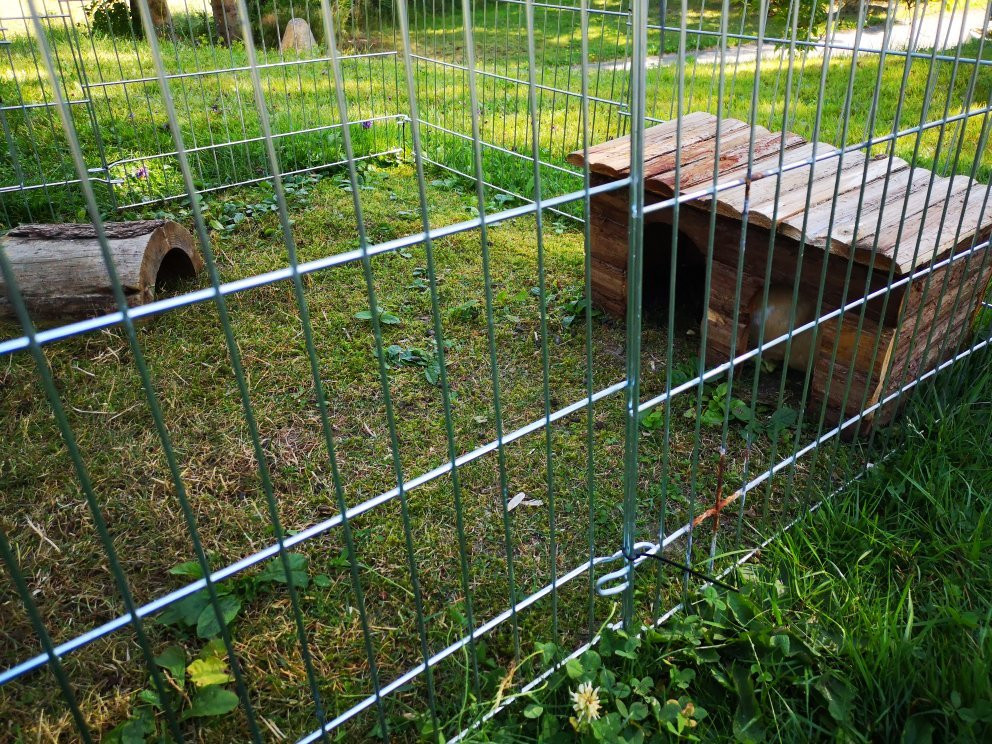 瓦尔德克酒店主图