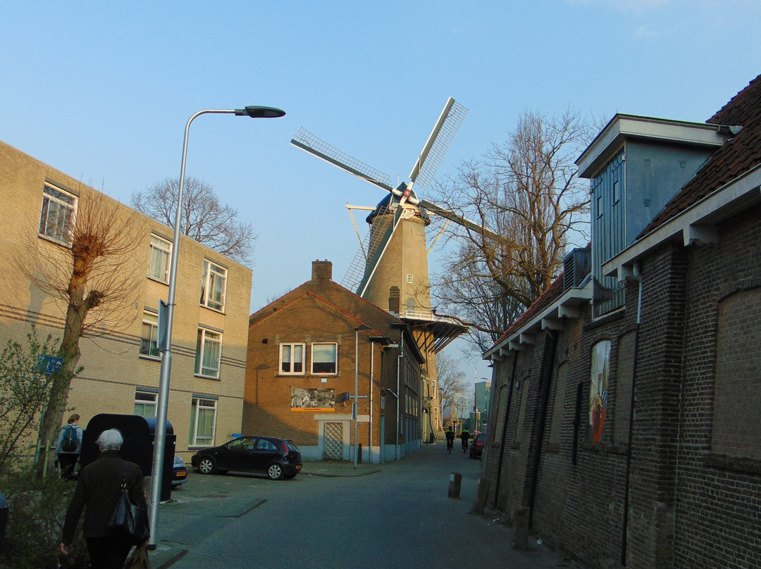 Red Lion Windmill (Molen De Roode Leeuw)-高德必去景点