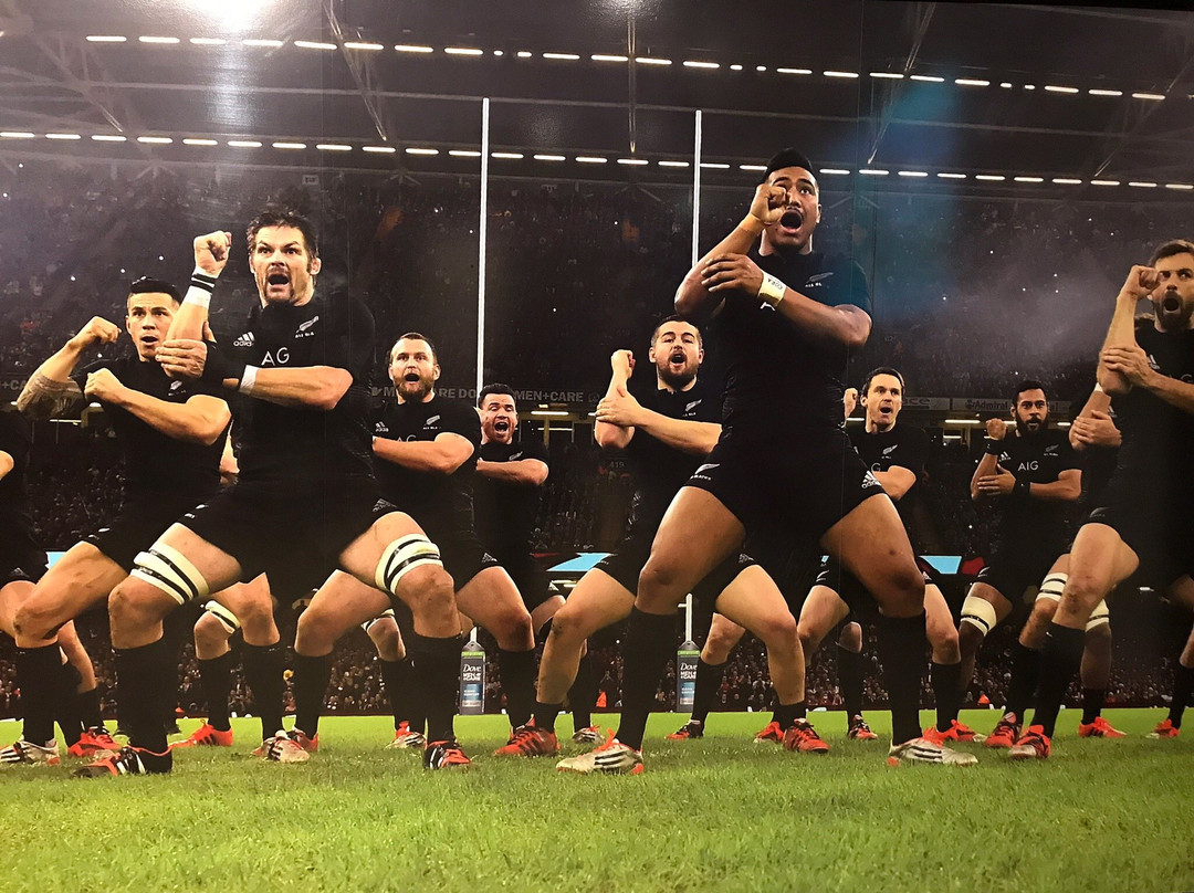New Zealand Rugby Museum-北帕墨斯顿必去景点