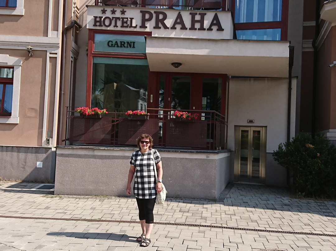 Garni Hotel Praha主图