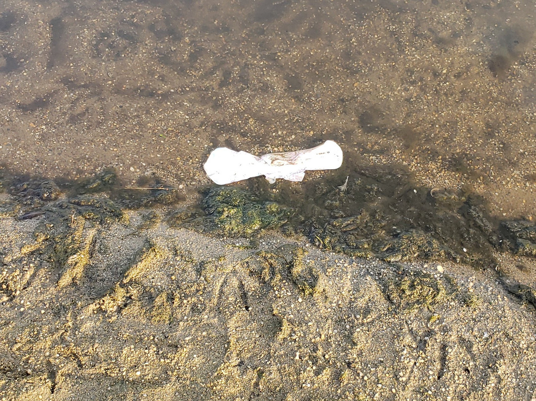 Hop Brook Lake-Middlebury必去景点