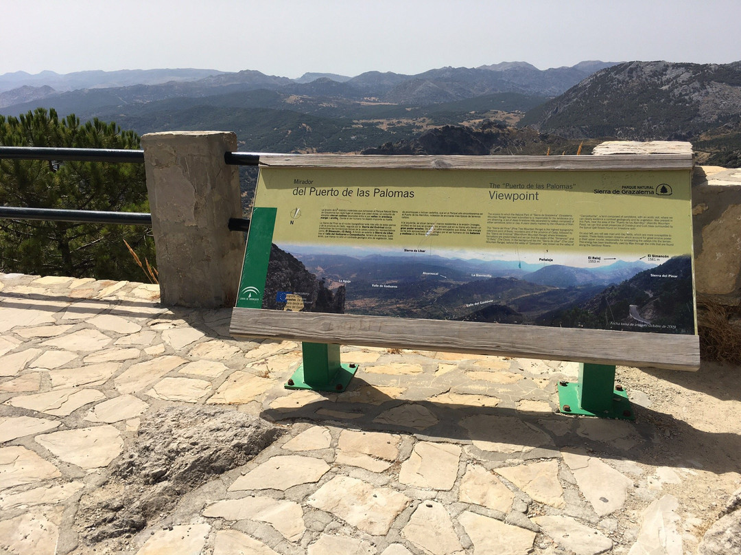 Sierra de Grazalema Natural Park旅游攻略图片