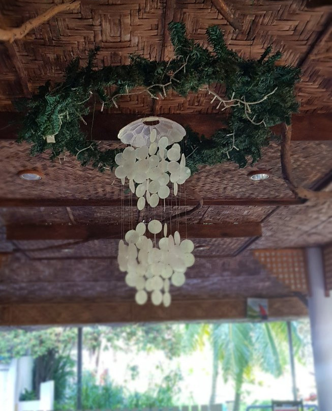 La Vida Hostel主图