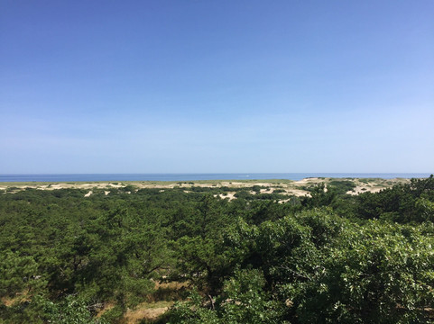 Mayflower Trolley-普罗温斯敦必去景点