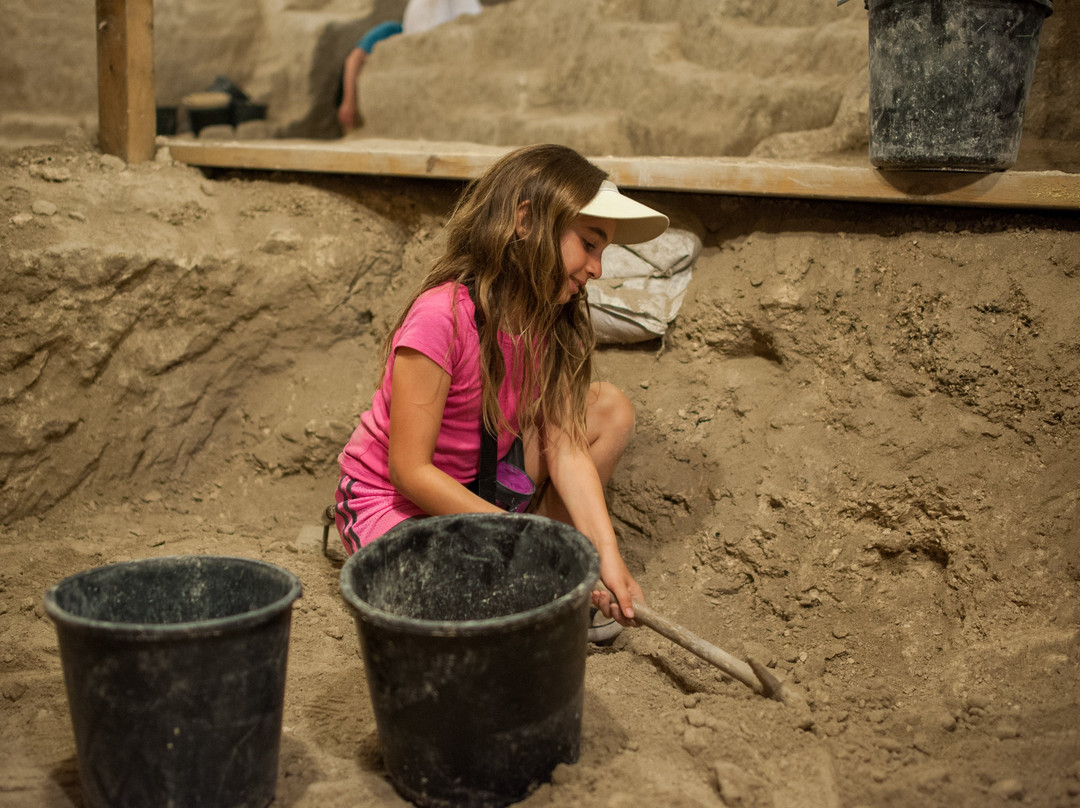 Dig For A Day — Archaeological Seminars Institute-耶路撒冷必去景点