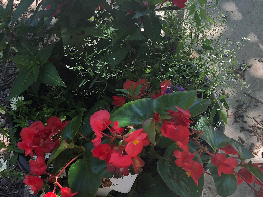 Butler Street-索格塔克必去景点