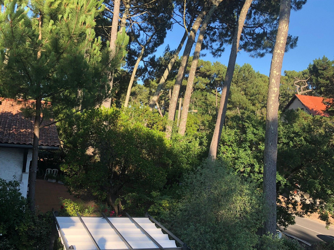 Bancs de Sable主图
