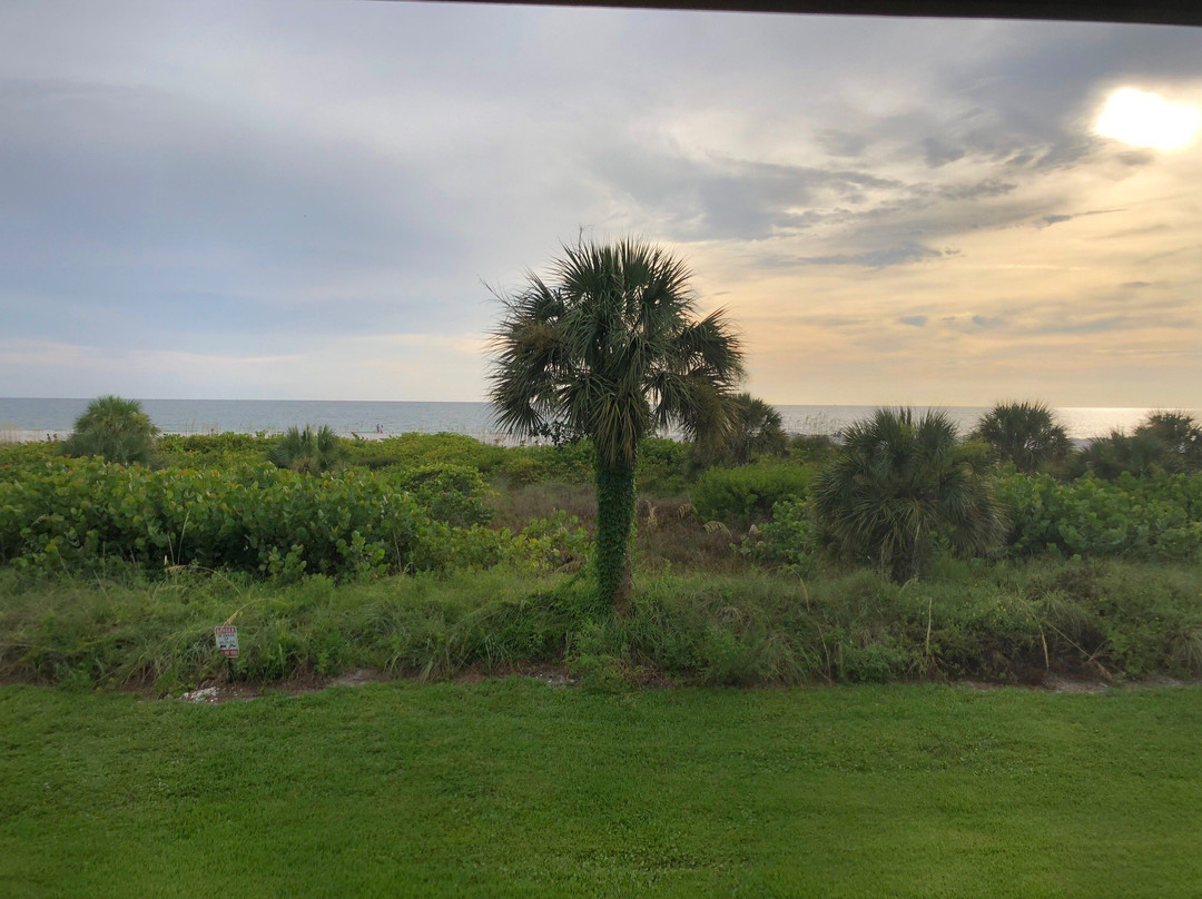 Club Regency of Marco Island主图