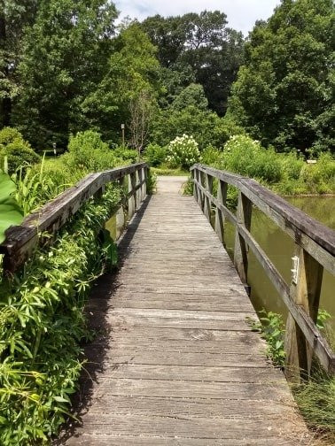 Memphis Botanic Garden景点图片