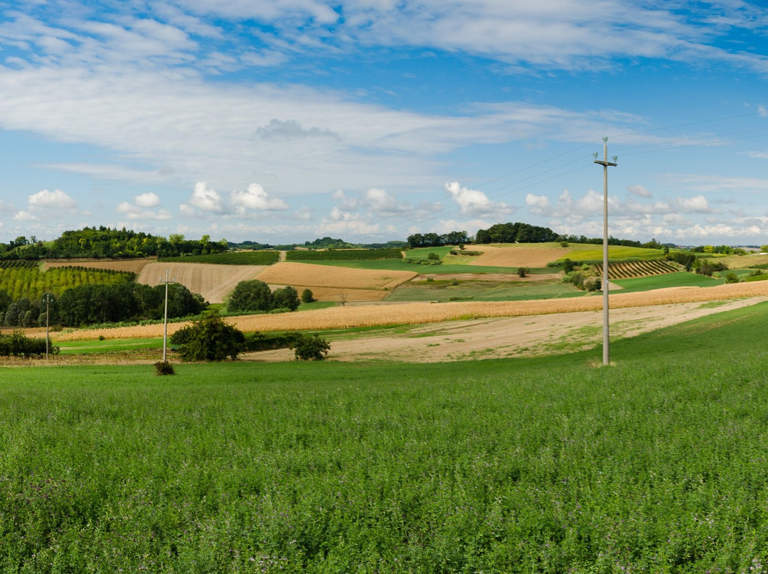 Cuccaro Monferrato旅游攻略图片