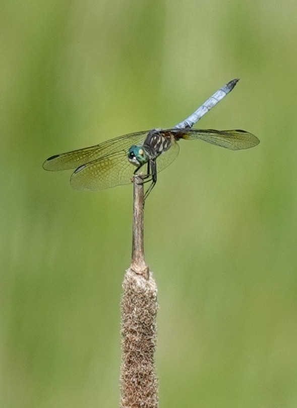 Three Rivers Wildlife Management Area-Baldwinsville必去景点