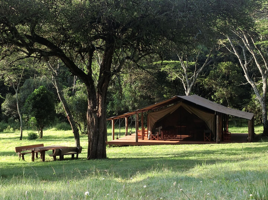 ENKOPIRO CAMP Maasai Mara