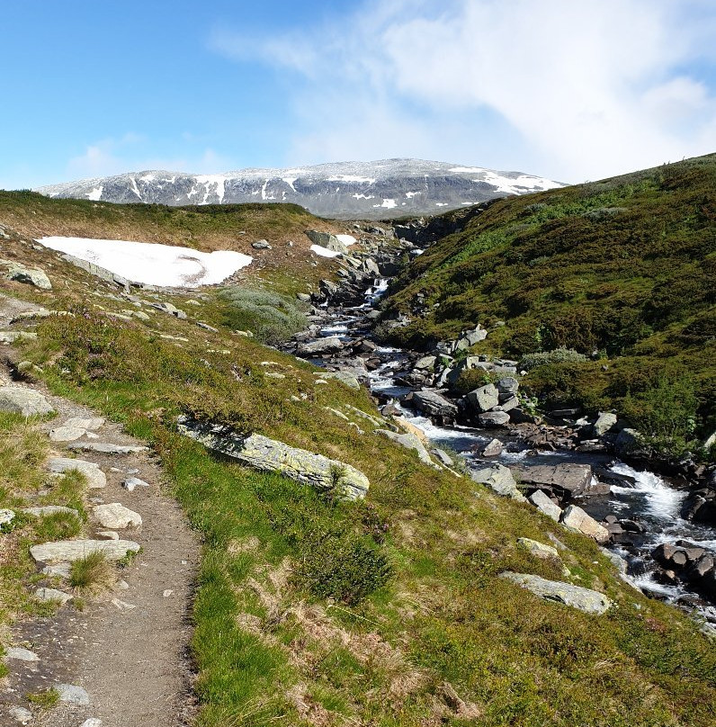 Bergsjostolen Fjellstue主图