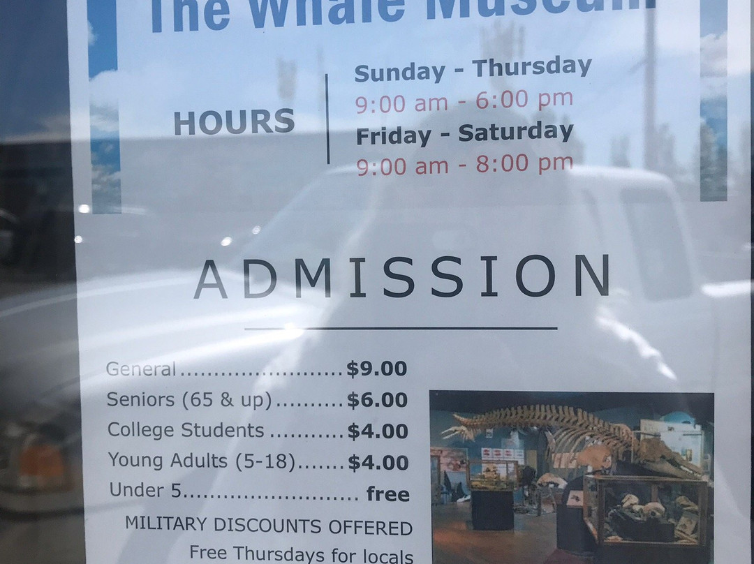 The Whale Museum景点图片