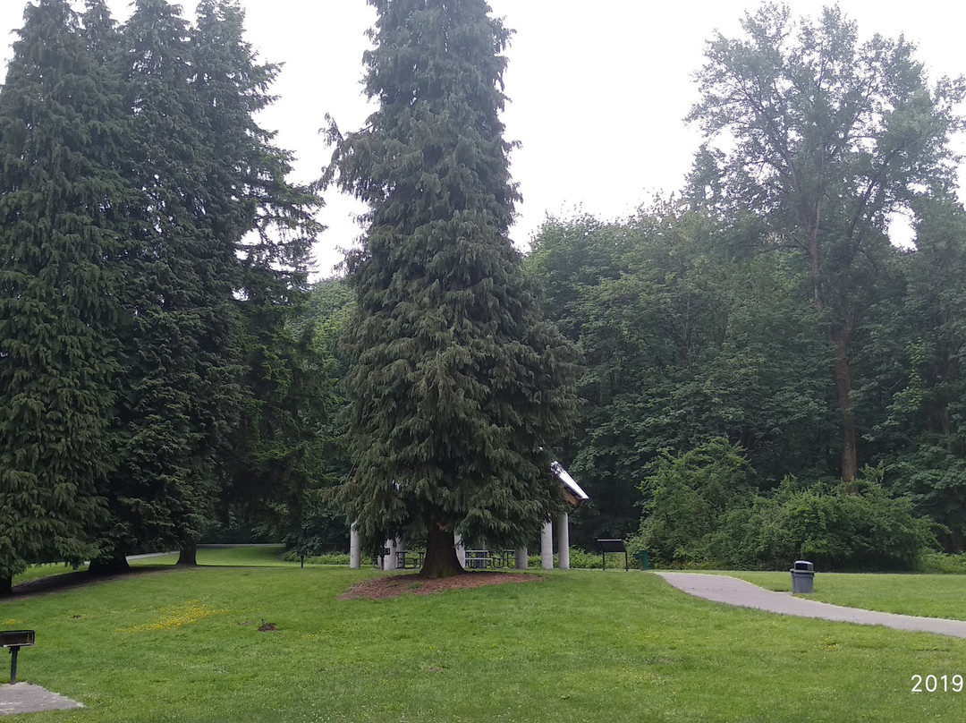 Riverview Park-伦顿必去景点