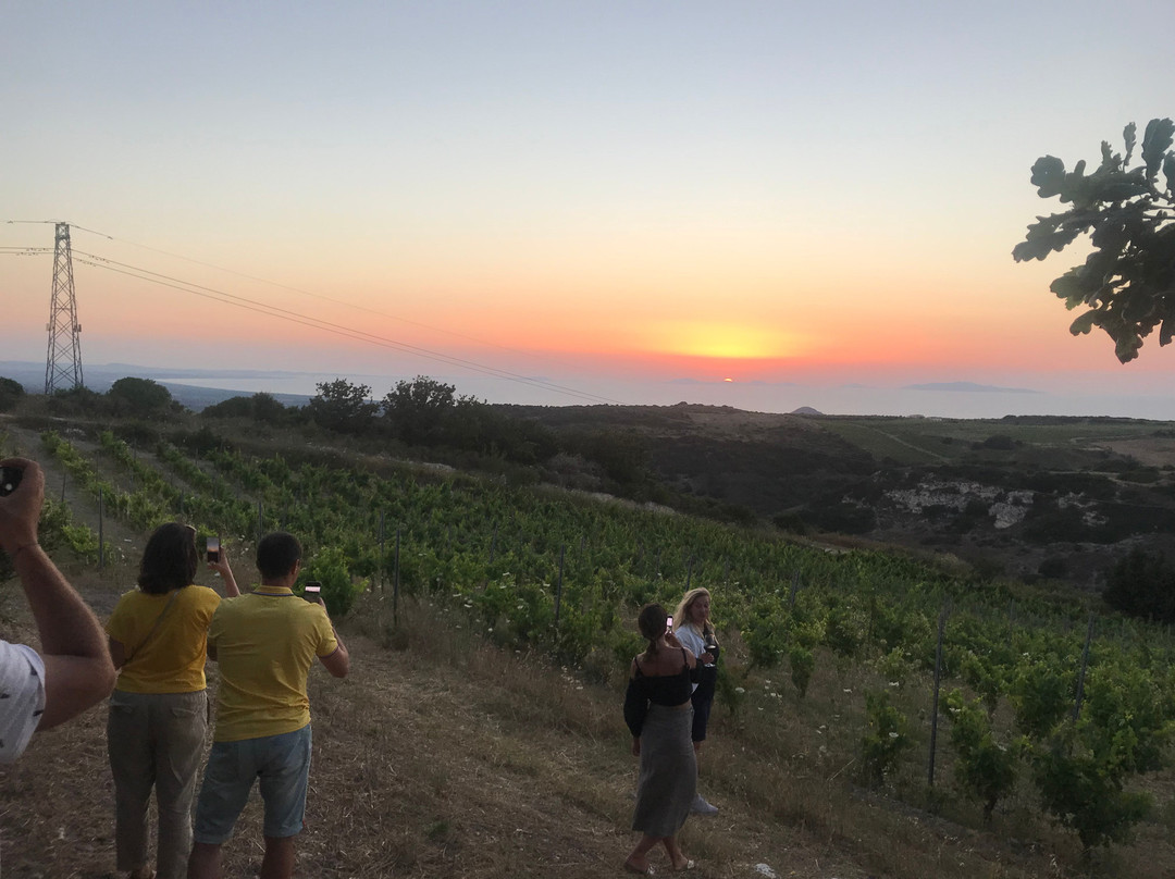 Cantina Sorres-Sennori必去景点