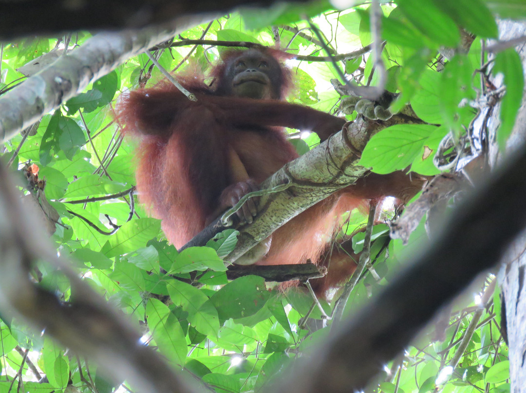 Inno Travel & Tour Services Sdn Bhd @ Sabah Holidays-亚庇必去景点