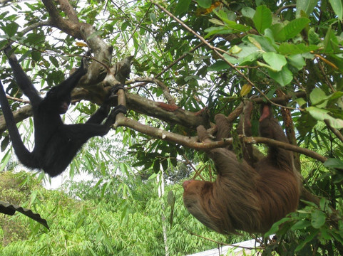 Dos Loritos-Paucartambo必去景点