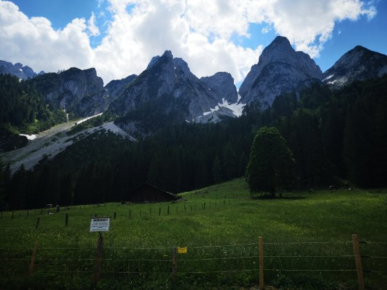 Alpenhotel Dachstein主图