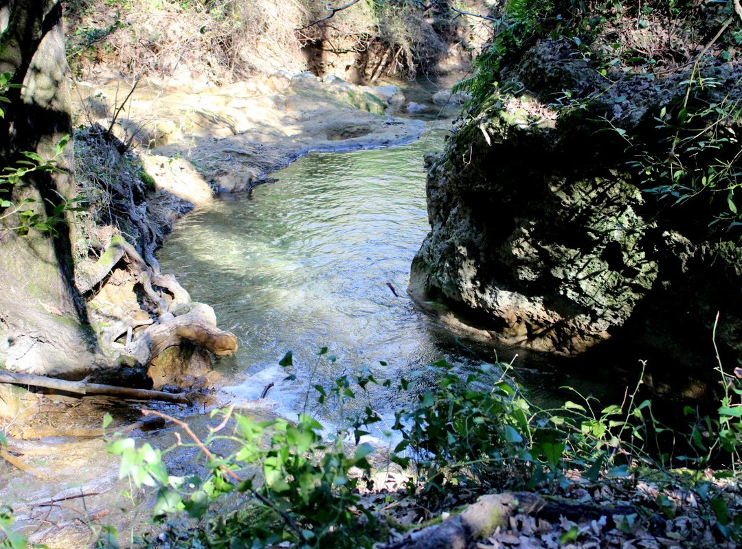 Cascade de Cotignac景点图片