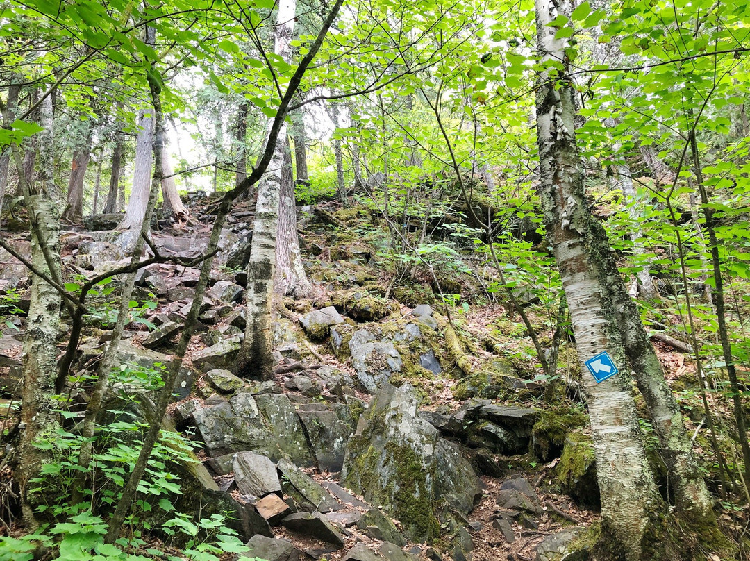 Hunt Lake Hiking Trail景点图片