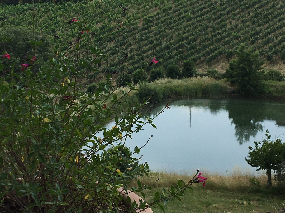 托斯卡纳葡萄酒庄园游览景点图片