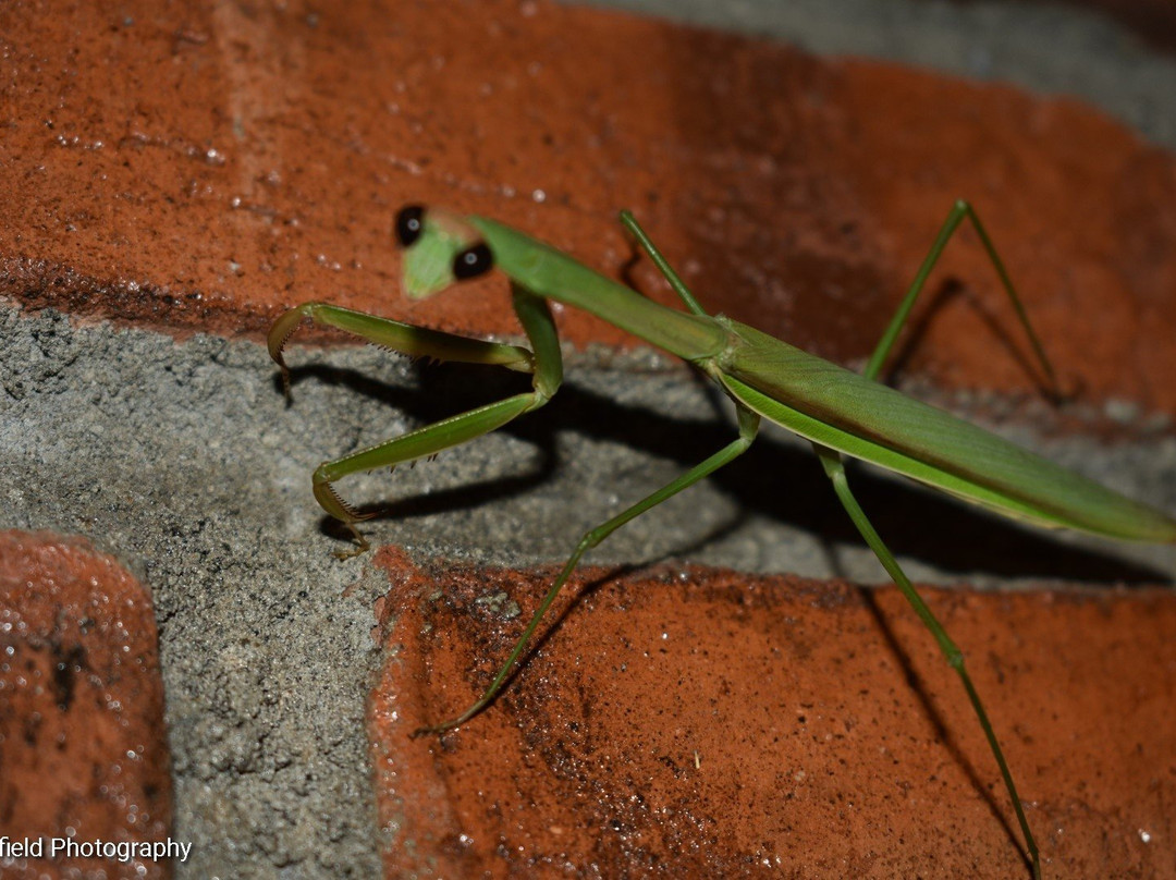 Rumah Dharma 2 Riverside主图