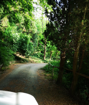 Borgo Musolino主图