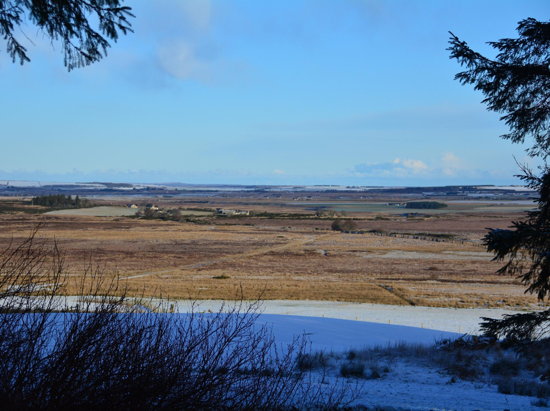 Above and Beyond Tours of Caithness景点图片