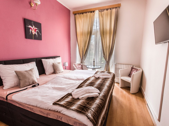 Penzion Alfa Podebrady主图