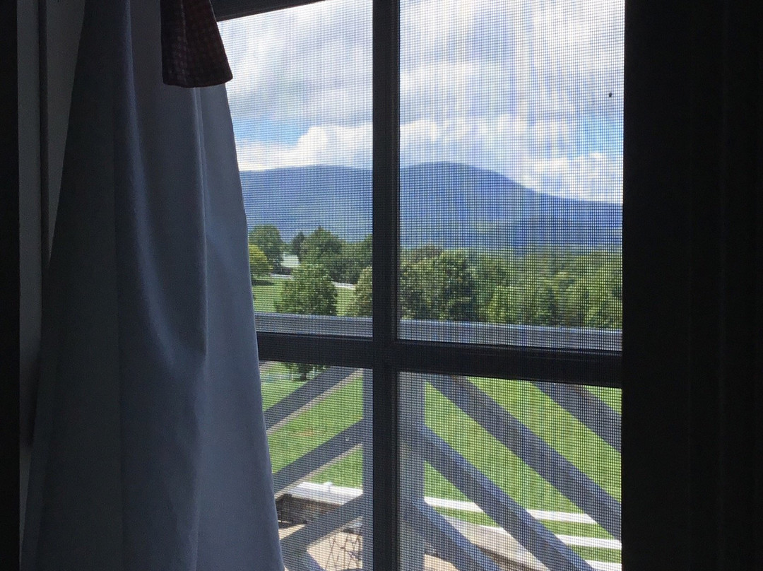 The Red Horse Inn主图