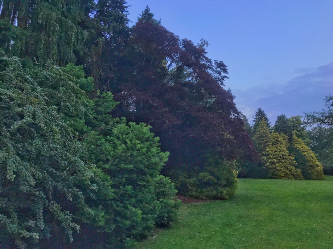 Volkspark Enschede-恩斯赫德必去景点