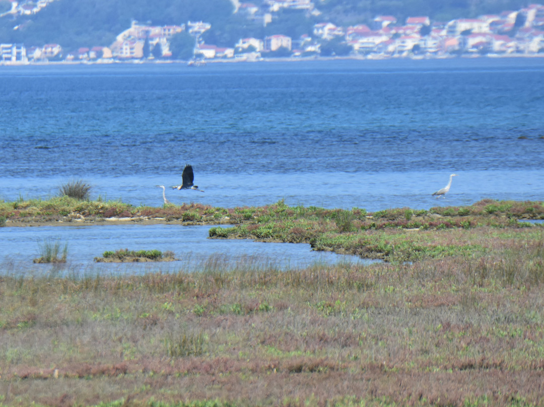 Tivat Solila景点图片