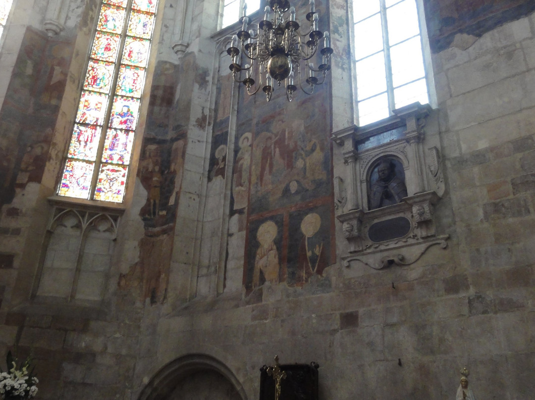 Collegiate Basilica of the Birth of the Blessed Virgin Mary, Wislica景点图片