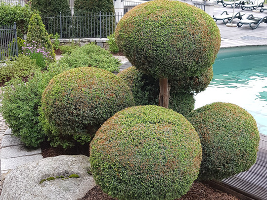 Kristiania Pure Nature Hotel & Spa主图